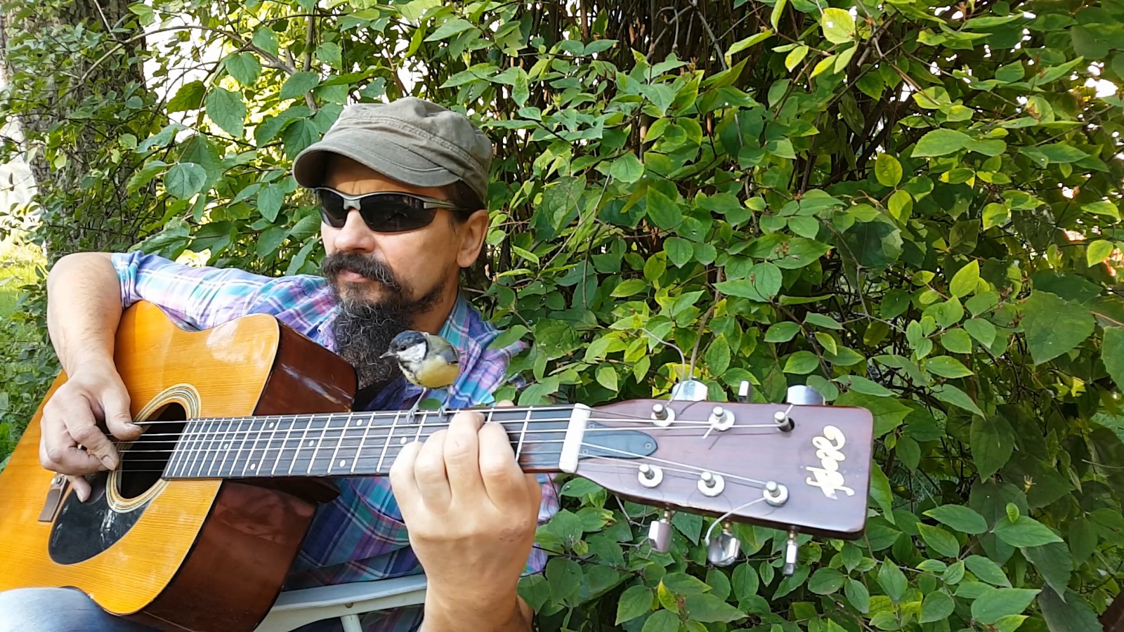 Bogatka Henia Bogatka Henia